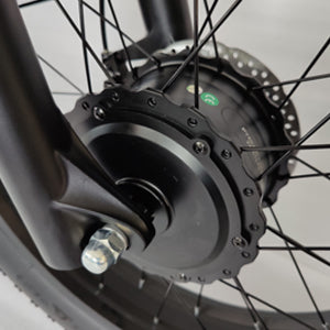 SLMRO E5 PLUS 2000W City & Mountain Electric Bike with Fat Tires
