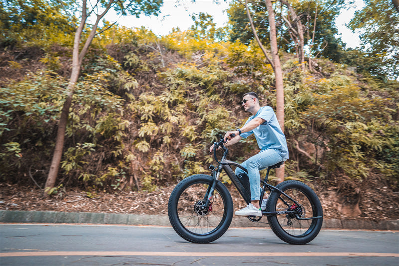 Lankeleisi MG740PLUS 2000W - Mountain Monster - Electric Bike with 26" with Fat Tires