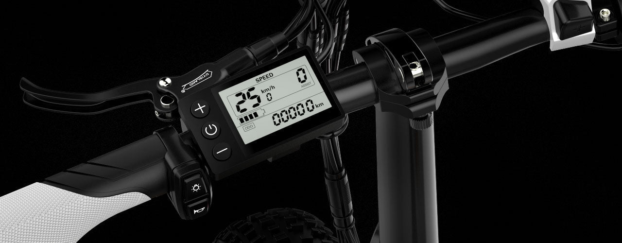 Lankeleisi X3000 Plus 1000W Foldable Mountain Electric Bike with 20" Fat Tires