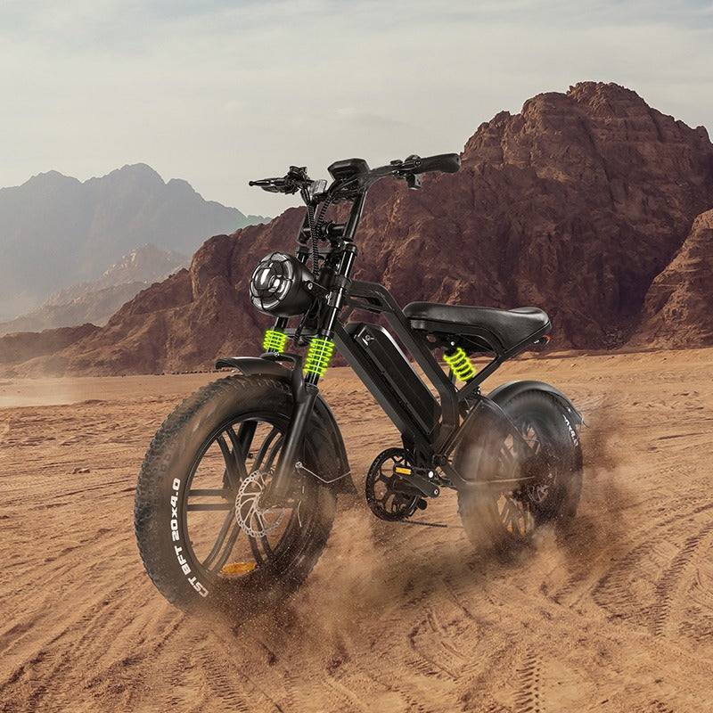 Qmwheel V20 1000W Electric Bike - A Powerful electric bicycle with 20-Inch Fat Tires